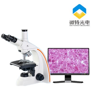 BM2800无限远生物显微镜