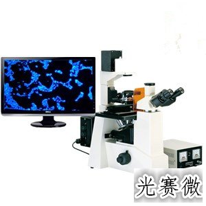WFL-D1倒置式荧光显微镜