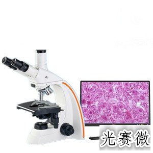PH2800 相衬显微镜