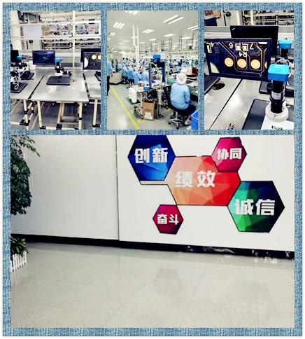 <b>DESAY集团采购高清视频</b>